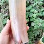 Set of 2 Horn Glass Drinking Beer Viking Style Collectible Gifting Item