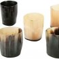 Horn Made Shot Glass Set of 8 Vodka Shots Tequila Shots Glass