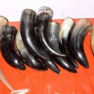 Set Of 10 Pcs Horn Drinking Viking Mug beer mug without Stand Collectible Gift