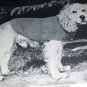 Hilde 117 MITTENS SOCKS ACCESSORIES Dog Sweater Golf Mitt knit 16pg booklet 1967