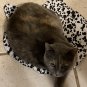 Cat Mat Pet bed pad for Lounging or Sleeping Kitty Cat in Cat fabric Handmade