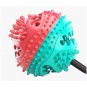 Dog Chew Toys Pet Toothbrush Rubber Bones Teeth Cleaning