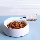 Pet Bowl Feeder Cat Pet Supplies Single Bowl