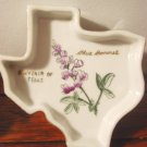 Texas vintage souvenir pin dish ashtray blue bonnets