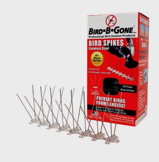 Bird-B-Gone Bird Repelling Spikes Stainless Steel Prevents Landing ...