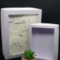 Frame - SHADOWBOX. 6.5 cm deep shadowbox ,DIY FRAMES digital templet, svg, pdf, scut5