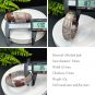 Silicified Jade Bangle 59MM Porcelain Luster Multicolored Celestial Eye