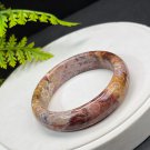 Fossilized Coral Bangle 55MM Porcelain Luster Jadeification Lemon Blossom Phoenix Tail