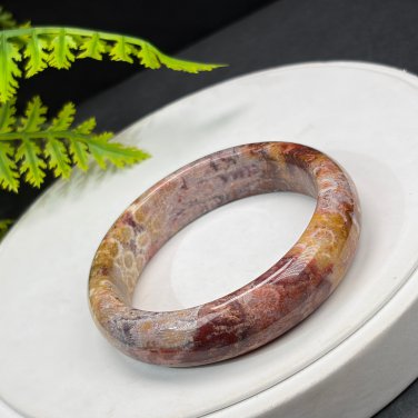Fossilized Coral Bangle 55MM Porcelain Luster Jadeification Lemon Blossom Phoenix Tail