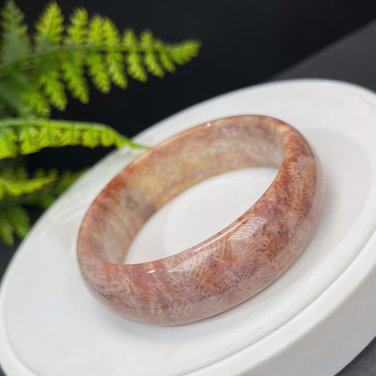 Orange Pink Purple Fossilized Coral Bangle 58MM Porcelain Luster Phoenix Tail