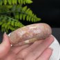 Orange Pink Purple Fossilized Coral Bangle 58MM Porcelain Luster Phoenix Tail