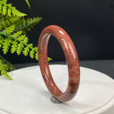Fossilized Coral Bangle 53MM Porcelain Luster Jadeification Celestial Eye Phoenix Tail Round