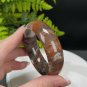 Silicified Jade Bangle 52MM Porcelain Luster Crystallization Multicolored