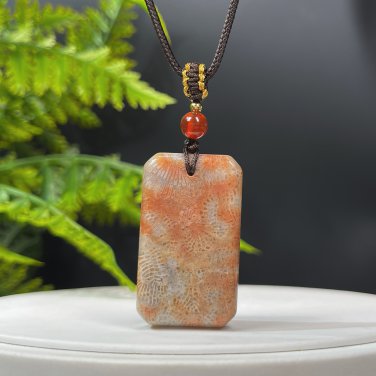 Fossilized Coral Pendant Necklace Icy Jadeification Bryozoan Ice Gray Orange Rectangle