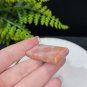 Fossilized Coral Pendant Necklace Icy Crystallization Big Flowers Old Mine Purple Pink Orange