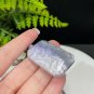 Fossilized Coral Pendant Necklace Icy Jadeification Bryozoan Old Mine Purple Gray