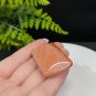 Fossilized Coral Pendant Necklace Porcelain Luster Jadeification Gradient Orange Pink Lemon Blossom