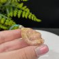 Yellow Fossilized Coral Pendant Jadeification Kaleidoscope Phoenix Tail Carved Cute Fat Cat