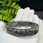 Fossilized Conch Bangle 58MM Straight Cut Square Edge Multicolored