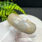 Gray Yellow Fossilized Coral Bangle 55MM Porcelain Luster Celestial Eye Skeleton Phoenix Tail