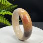 Fossilized Coral Bangle 57+MM Porcelain Luster Jadeification Multi-color Lemon Blossom Phoenix Tail
