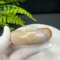 Fossilized Coral Bangle 57+MM Porcelain Luster Jadeification Multi-color Lemon Blossom Phoenix Tail
