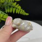 Fossilized Coral Pendant Jadeification Gray Blue Yellow Lemon Blossom Phoenix Tail Cute Fat Cat