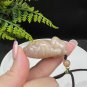 Fossilized Coral Pendant Jadeification Purple Yellow Bi-color Lemon Blossom Carved Cute Fat Cat