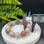 Fossilized Coral Beaded Bracelet 19.5mm Large Beads Multicolored Lemon Blossom