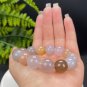 Fossilized Coral Beaded Bracelet 14.5mm Icy Translucent Jadeification Multicolored