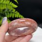 Gradient Purple Red Fossilized Coral Bangle 59MM Porcelain Luster Bryozoan Phoenix Tail