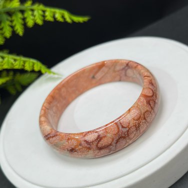 Orange Fossilized Coral Bangle 60MM Porcelain Luster Lemon Blossom Phoenix Tail