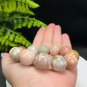 Fossilized Coral Beaded Bracelet 18mm Large Beads Multicolored Lemon Blossom Phoenix Tail