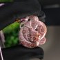 Fossilized Coral Pendant Porcelain Luster Jadeification Lemon Blossom Hand Carved Zodiac Snake