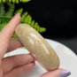 Fossilized Coral Bangle 57MM Gradient Pink Skeleton Phoenix Tail