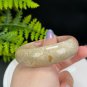 Fossilized Coral Bangle 57MM Gradient Pink Skeleton Phoenix Tail