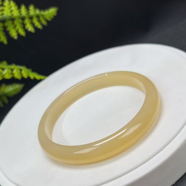Madagascar Golden Agate Bangle 63MM Icy Translucent