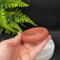South Red Agate Associated Minerals Bangle 56MM Orange Matte Floating Cinnabar Dotted