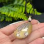 Fossilized Coral Pendant Necklace Icy Jadeification Hairs Multicolored Teardrop