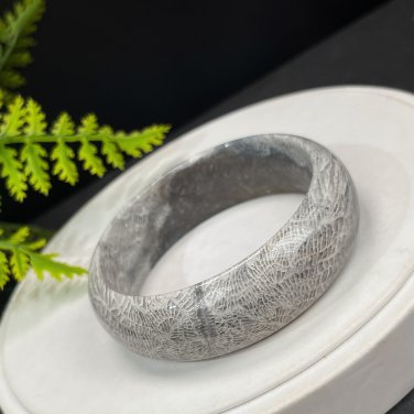 Gradient Gray Fossilized Coral Bangle 57+MM Icy Porcelain Luster Jadeification Phoenix Tail