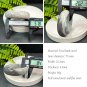 Gradient Gray Fossilized Coral Bangle 57+MM Icy Porcelain Luster Jadeification Phoenix Tail