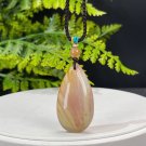 Fossilized Coral Pendant Necklace Icy Jadeification Hairs Yellowish Red Teardrop