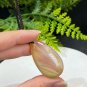 Fossilized Coral Pendant Necklace Icy Jadeification Hairs Yellowish Red Teardrop