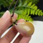 Fossilized Coral Pendant Necklace Icy Jadeification Hairs Multicolored Teardrop