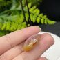 Fossilized Coral Pendant Necklace Icy Jadeification Hairs Multicolored Teardrop