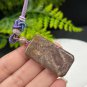 Purple Yellow Fossilized Coral Pendant Porcelain Luster Jadeification Bryozoan