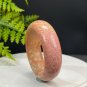 Orange Pink Fossilized Coral Bangle 50MM Porcelain Luster Jadeification Lemon Blossom Phoenix Tail
