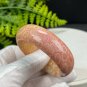 Orange Pink Fossilized Coral Bangle 50MM Porcelain Luster Jadeification Lemon Blossom Phoenix Tail