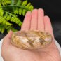 Ocean Jasper Bangle 55MM Old Mine Crystallization Multicolored Oil Painting Style