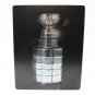 New Rare Official NHL 13 Stanley Cup Collector's Edition Steelbook Case No Game